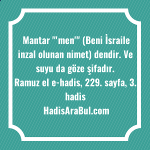   Mantar 