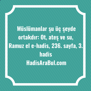   Müslümanlar şu üç şeyde ortakdır: ... hadisi şerifi