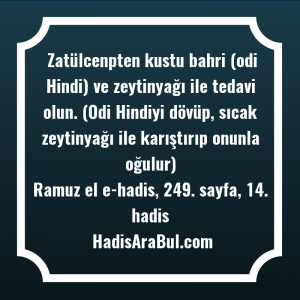   Zatülcenpten kustu bahri (odi Hindi) ... hadisi şerifi