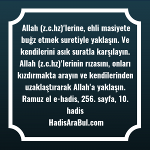   Allah (z.c.hz)'lerine, ehli masiyete buğz ... ile başlayan hadis