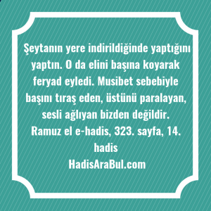   Şeytanın yere indirildiğinde yaptığını yaptın. ... hadisi şerifi