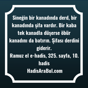   Sineğin bir kanadında derd, bir ... hadisi