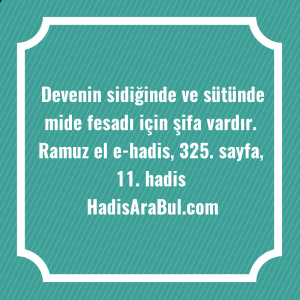   Devenin sidiğinde ve sütünde mide ... ile başlayan hadis