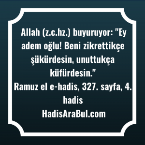   Allah (z.c.hz.) buyuruyor: 