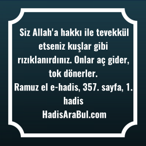   Siz Allah'a hakkı ile tevekkül ... hadisi şerifi