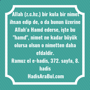   Allah (z.c.hz.) bir kula bir ... hadisi şerifi