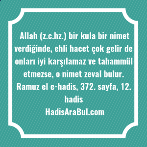   Allah (z.c.hz.) bir kula bir ... hadisi şerifi