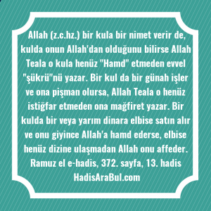   Allah (z.c.hz.) bir kula bir ... hadisi şerifi