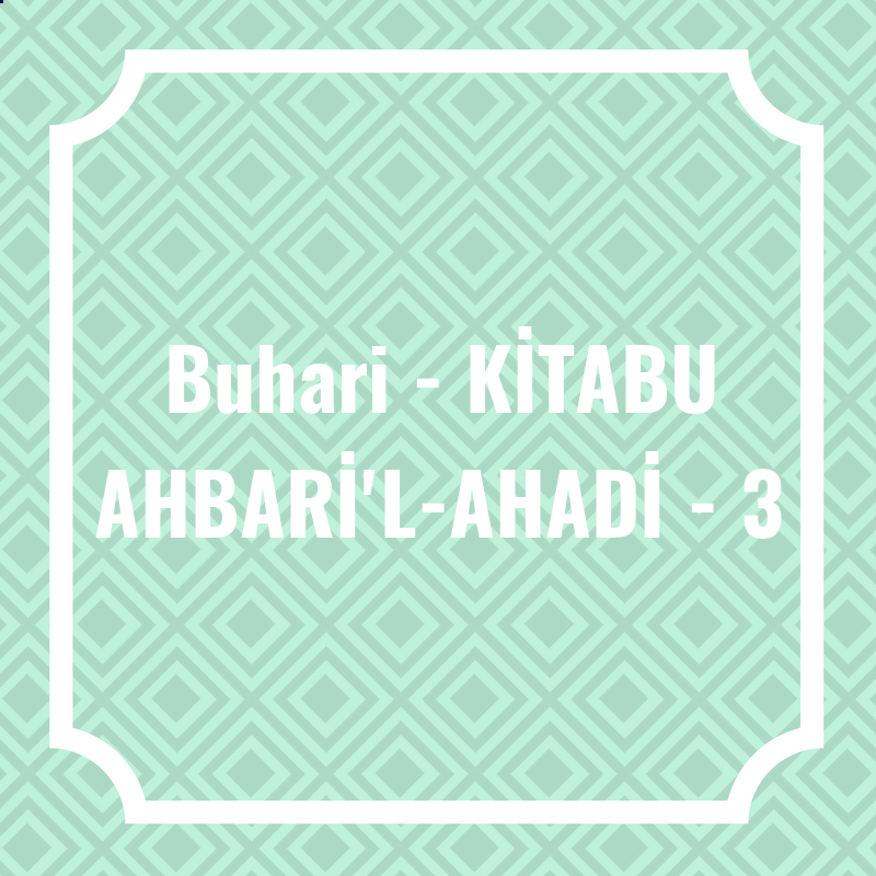 Buhari - KİTABU AHBARİ'L-AHADİ - 3