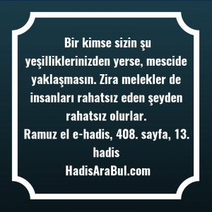  Bir kimse sizin şu yeşilliklerinizden ... hadisinin tamamı