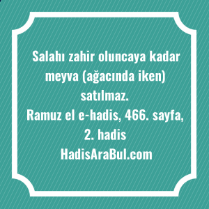   Salahı zahir oluncaya kadar meyva ... hadisi