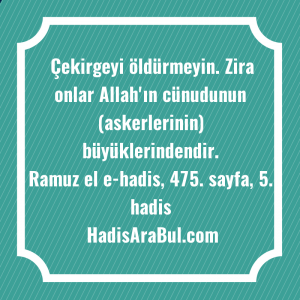   Çekirgeyi öldürmeyin. Zira onlar Allah'ın ... hadisinin tamamı