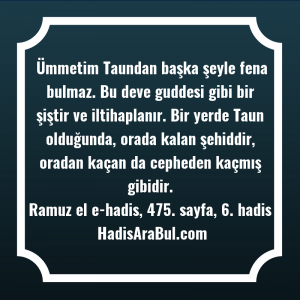   Ümmetim Taundan başka şeyle fena ... hadisi