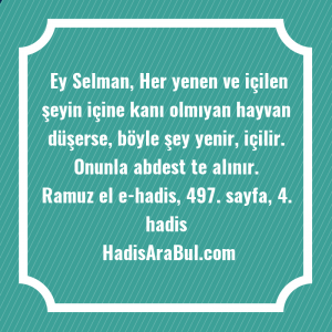   Ey Selman, Her yenen ve ... hadisi şerifi