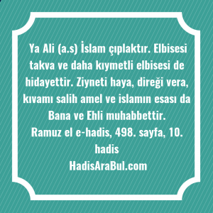   Ya Ali (a.s) İslam çıplaktır. ... hadisi şerifi