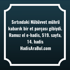   Sırtındaki Nübüvvet mührü kabarık bir ... ile başlayan hadis