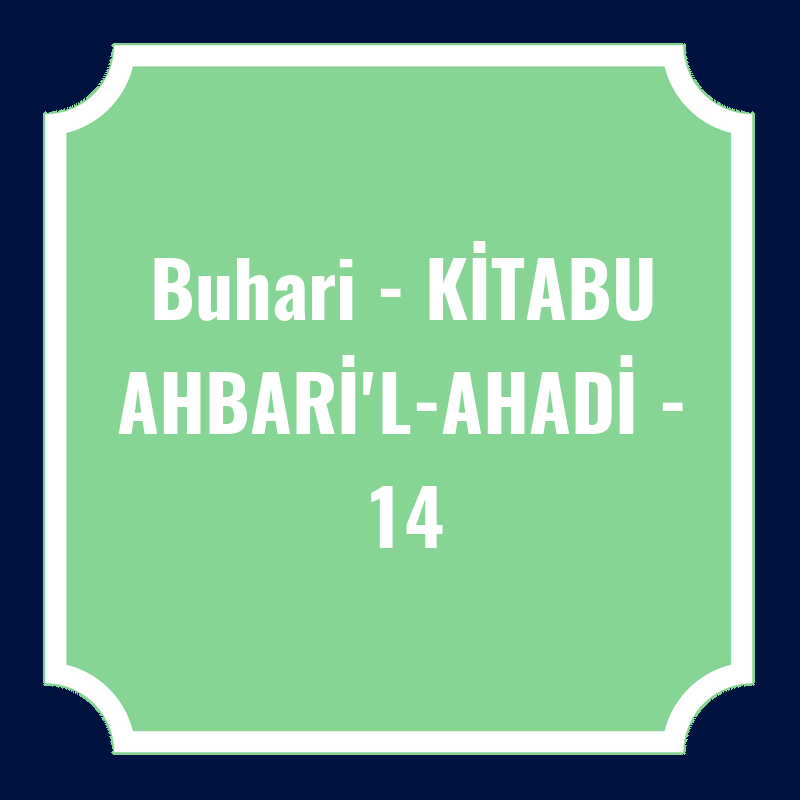 Buhari - KİTABU AHBARİ'L-AHADİ - 14