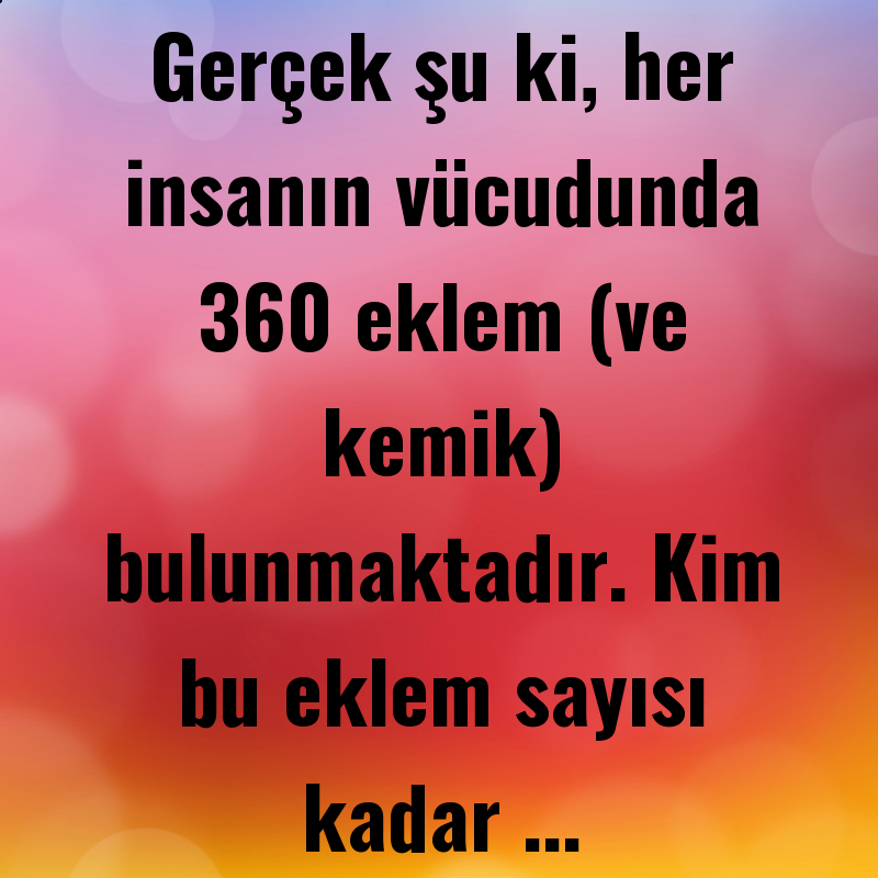 Gerçek şu ki, her insanın vücudunda 360 eklem (ve kemik) bulunmaktadır. Kim bu eklem sayısı kadar ...