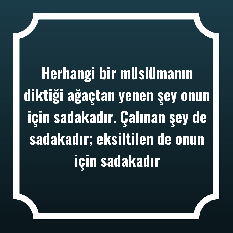 Herhangi bir müslümanın diktiği ağaçtan yenen şey onun için sadakadır. Çalınan şey de sadakadır; eksiltilen de onun için sadakadır