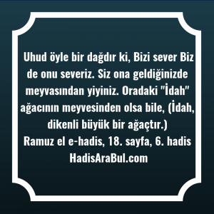   Uhud öyle bir dağdır ki, ... hadisi