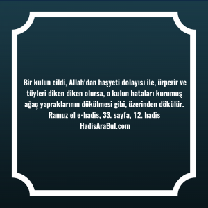   Bir kulun cildi, Allah'dan haşyeti ... hadisi