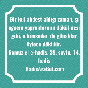   Bir kul abdest aldığı zaman, ... hadisi şerifi