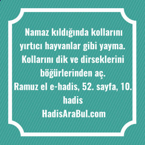   Namaz kıldığında kollarını yırtıcı hayvanlar ... ile başlayan hadis