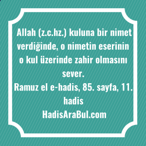   Allah (z.c.hz.) kuluna bir nimet ... hadisinin tamamı