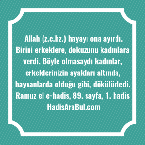   Allah (z.c.hz.) hayayı ona ayırdı. ... ile başlayan hadis