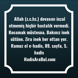   Allah (z.c.hz.) devasını inzal etmemiş ... hadisinin tamamı