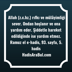   Allah (z.c.hz.) rıfkı ve mülâyimliği ... hadisinin tamamı