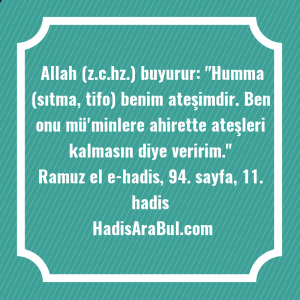   Allah (z.c.hz.) buyurur: 