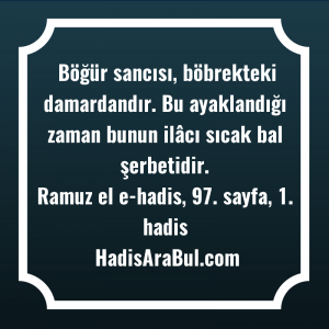   Böğür sancısı, böbrekteki damardandır. Bu ... hadisi