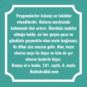   Peygamberler kılavuz ve fakihler efendilerdir. ... hadisi şerifi