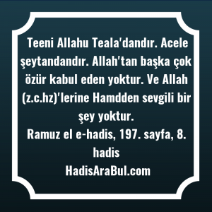   Teeni Allahu Teala'dandır. Acele şeytandandır. ... hadisinin tamamı