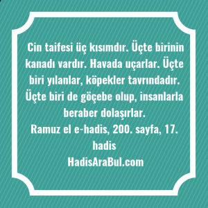   Cin taifesi üç kısımdır. Üçte ... hadisi şerifi