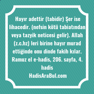   Hayır adettir (tabidir) Şer ise ... ile başlayan hadis