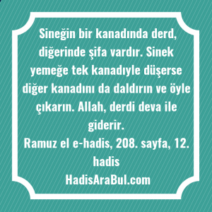   Sineğin bir kanadında derd, diğerinde ... ile başlayan hadis