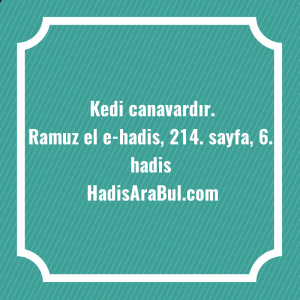   Kedi ... hadisi şerifi