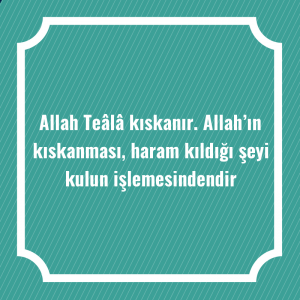 Allah Teâlâ kıskanır. Allah’ın kıskanması, haram kıldığı şeyi kulun işlemesindendir