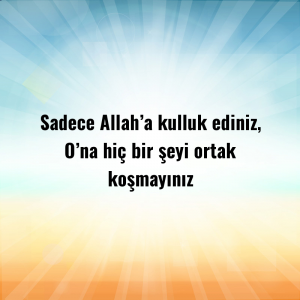 Sadece Allah’a kulluk ediniz, O’na hiç bir şeyi ortak koşmayınız