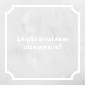 Şükreden bir kul olmayı istemeyeyim mi?